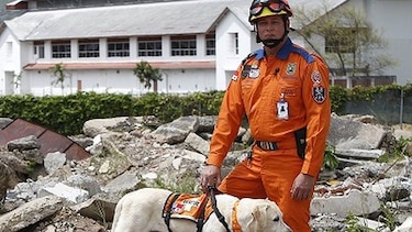 Un ‘Superman’  bocatoreño