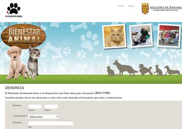 Alcaldía de Panamá crea página web para denunciar maltrato a mascotas