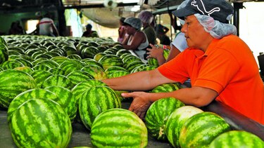 Clima trastoca las agroexportaciones