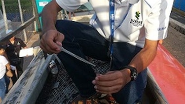 Minsa supervisa la calidad del agua usada en los culecos de Los Santos