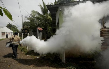 Reportan primeros cuatro casos de virus chikungunya en Colombia