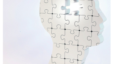 Científicos estudian el envejecimiento