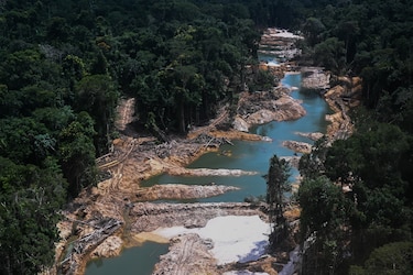 Los brasileños llegan al Día Mundial del Medio Ambiente entre la aprensión y la fatiga