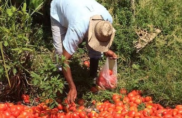 Cámara de Comercio de Chiriquí y Unpap apoyan las modificaciones a la Aupsa
