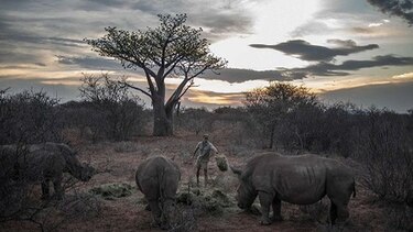 Veteranos de guerra se suman a la lucha contra la caza furtiva en África
