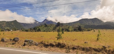 Mi llano lindo
