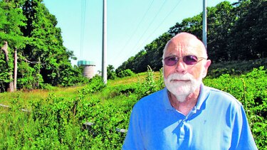 Proyectos de energía fomentan la tala