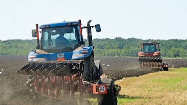 China otorga más subsidios a los productores de soya