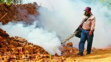 Vigilancia sanitaria tras casos de dengue