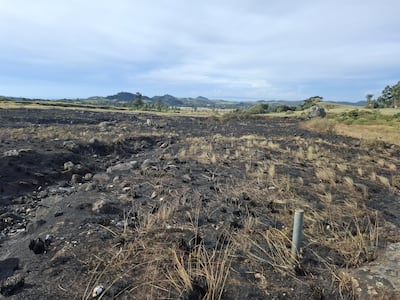 Autoridades controlan fuego en área protegida de Tierras Altas