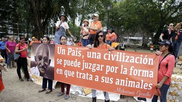 Panamá se sumará a caminata contra el maltrato animal
