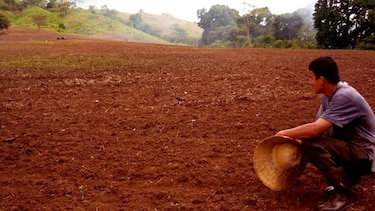 Falta de lluvias impide siembra de cultivos en la región de Azuero
