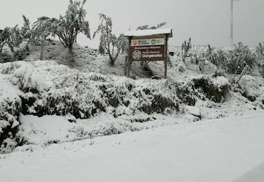 Una fuerte nevada cubre una reserva natural de Ecuador
