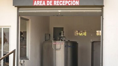 Productores de leche grado C adecuan centros de acopio