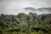 El negocio del miedo ambiental