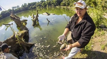 Investigan muerte de peces en laguna de El Salvador