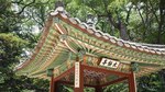Un periplo por el jardín oculto de la realeza coreana