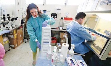 Científicos del Gorgas trabajan en estrategias contra el dengue
