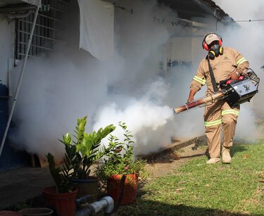 Minsa confirma el fallecimiento de una mujer por dengue en Los Santos; van 18 decesos en el país