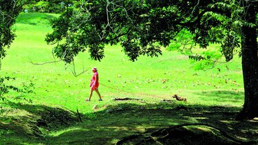Reciben ofertas de mejoras al parque Omar