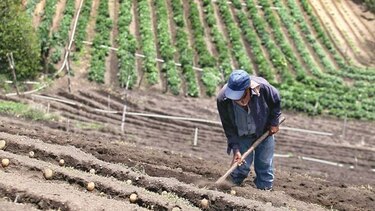 El nuevo esquema con el que pretenden reactivar el agro