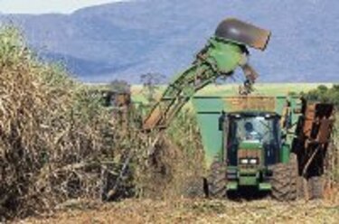 Bioeconomía, una respuesta estratégica frente a la crisis global