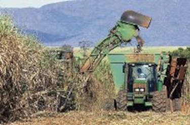 Bioeconomía, una respuesta estratégica frente a la crisis global