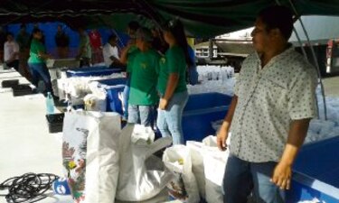 Coclesanos tendrán acceso a bolsas navideñas asequibles