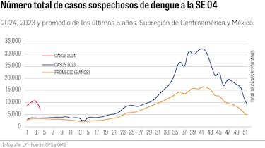Dengue: un desafío que muestra su fuerza