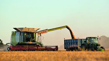 Suben precios mundiales de alimentos