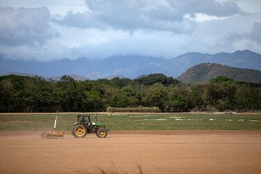 Mayor demanda de créditos para el agro, el comercio y los hogares impulsaron los préstamos bancarios en el primer semestre