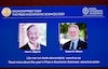 Estadounidenses Paul Milgrom y Robert Wilson ganan el Premio Nobel de Economía
