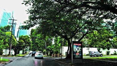 Más rascacielos para Obarrio