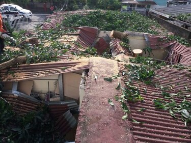 Árbol cae sobre residencia en Juan Díaz