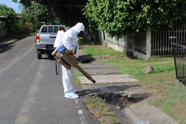 Ministerio de Salud reporta 9 muertes por dengue en Panamá