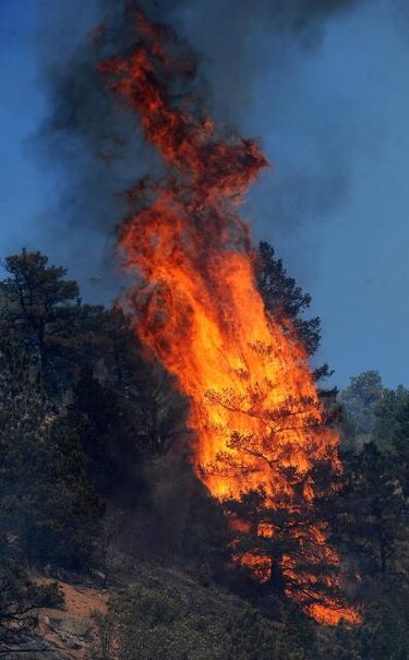 Aumento de pérdida de bosques y cultivos por incendios preocupa en Nicaragua