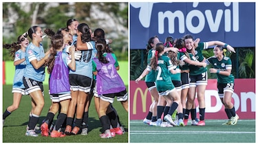 LigaW: Dolphins y Lions avanzaron en semifinales y disputarán campeonato