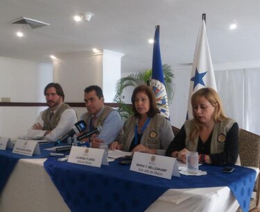 Misión de la OEA denuncia injerencia del Ejecutivo