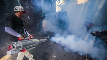 Un mosquito amenaza con desatar una epidemia incontrolable en Centroamérica