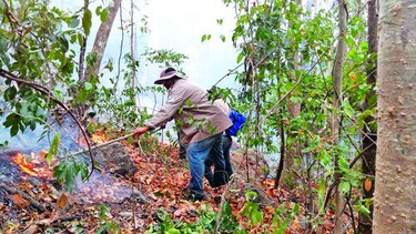 En Darién, 77 comunidades afectadas por fuego