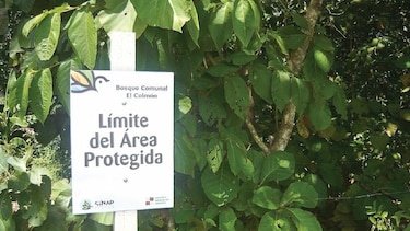 El Colmón, la primera área protegida del país, cumple 100 años
