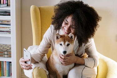 ‘Petfluencers’: los animales triunfan en redes sociales