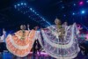 De léxicos específicos y nuestra pollera