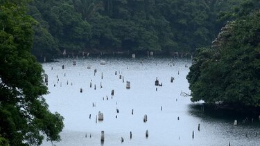 Río Indio, en plan hídrico