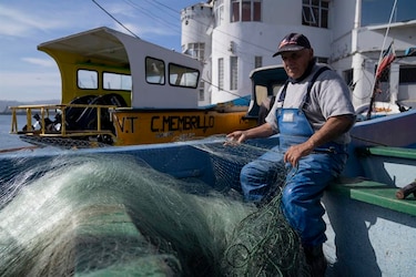 Denuncian que reglamento de ley de pesca introduce un nuevo tipo de pesca peligroso para el ecosistema marino
