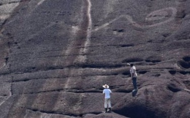 Descubren en el Orinoco grabados rupestres gigantes de hace miles de años