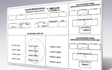 Ficha digital en la Caja de Seguro Social; 11 mil empresas la solicitaron