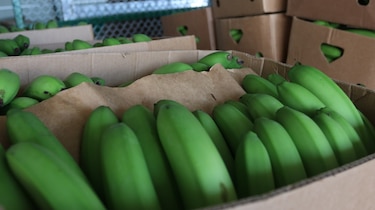 Exportaciones repuntaron hasta mayo