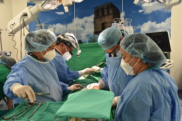 CSS restablece trasplantes de órganos tras abastecimiento de medicamento