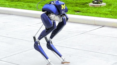 Un robot que podría ayudar en esfuerzos de rescate